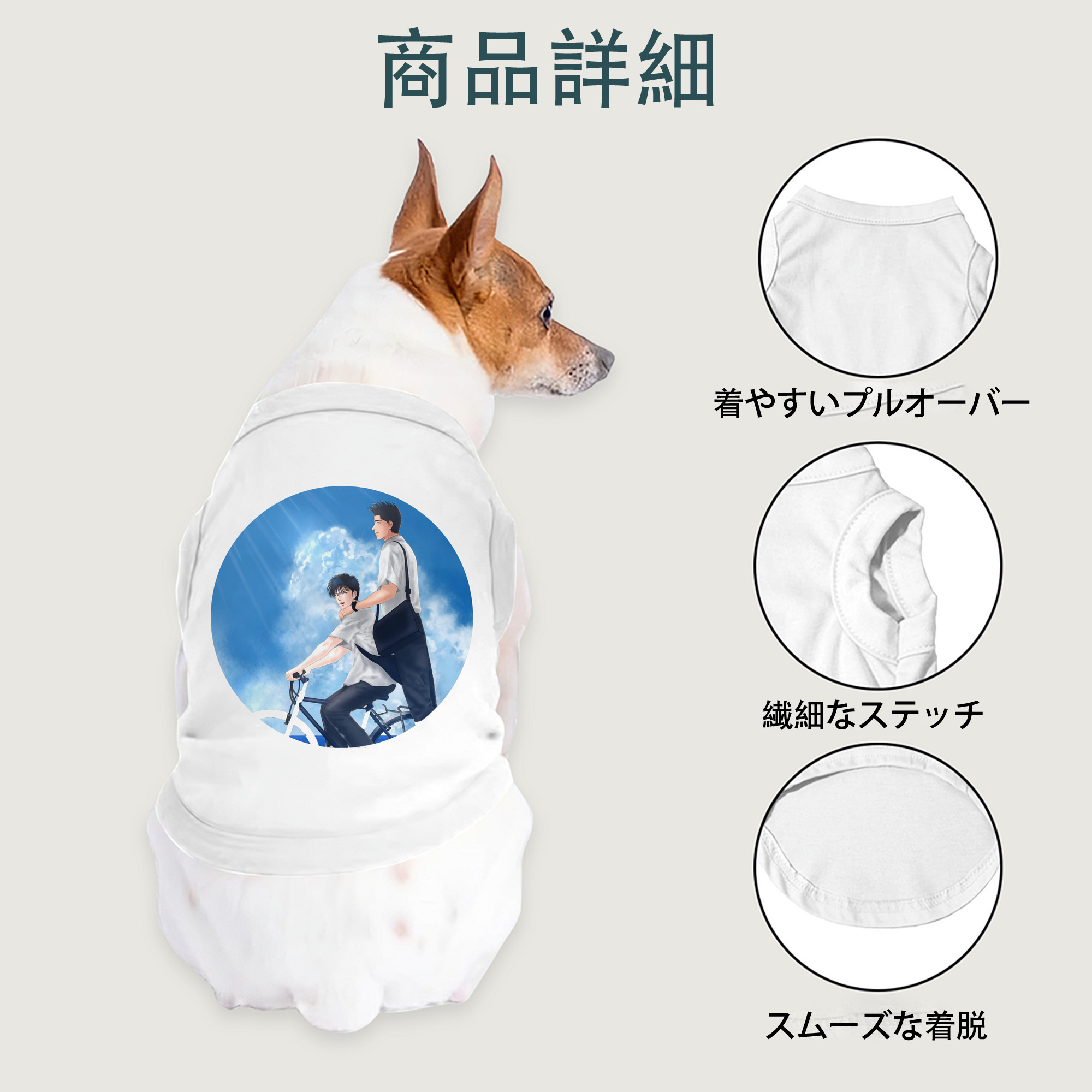 一般的なイメージ